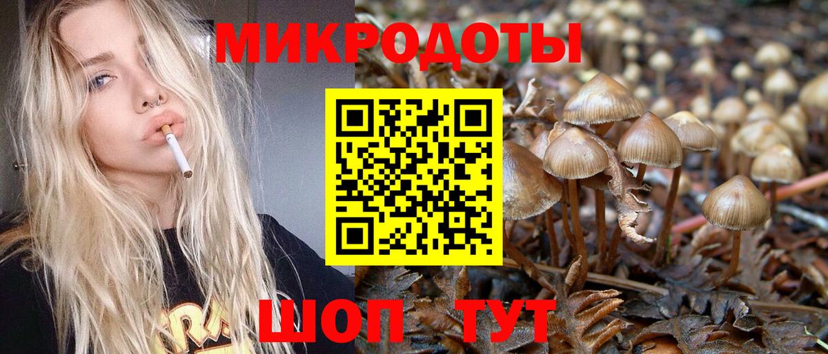 Псилоцибиновые грибы Psilocybe  Вход с VPN  Ярцево 